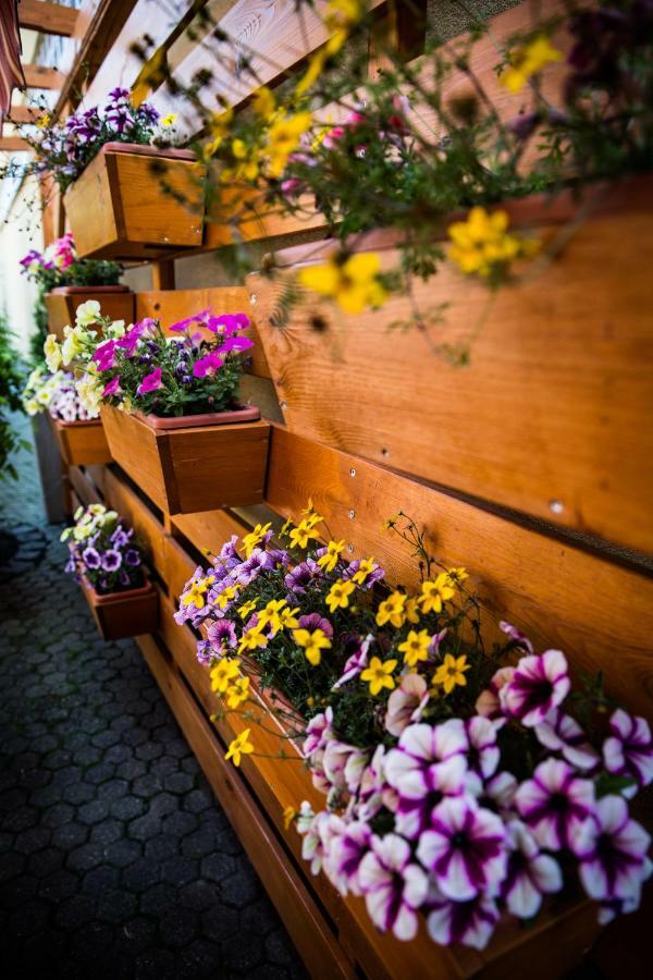 Pastorale Apartman Zalaszentgrót エクステリア 写真